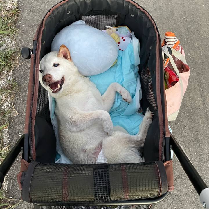 Bd2a2ddd a0b8 4bf5 a647 9ff7848f3fbb 1666289135182