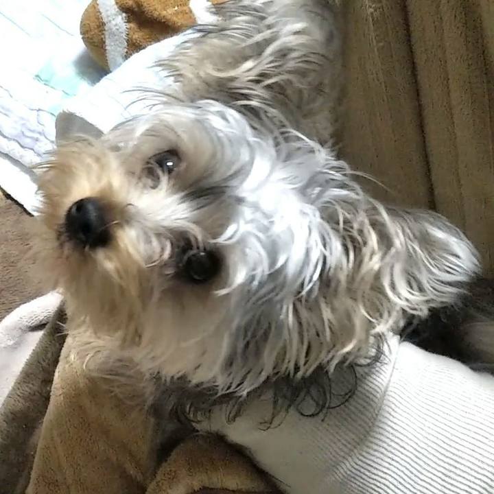 Bd2a683e 921e 4983 88ac 82ef1676d3d0 1542115358761