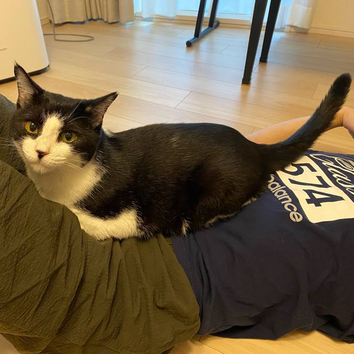 Bd2a8c7f eabe 4c80 9b54 859a2c4154d1 1759660471344