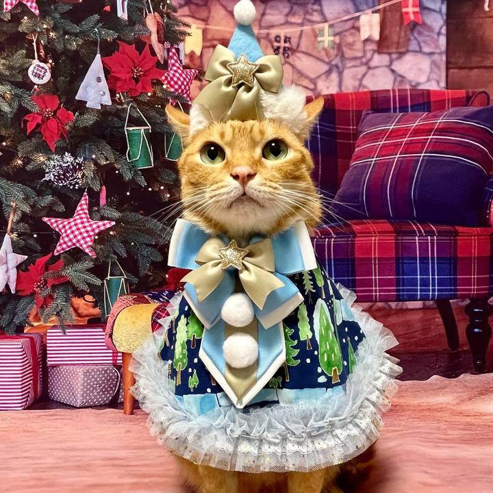 Bd2a918c 3a41 4aeb 813c 170cc5d32b4d 1734133053351