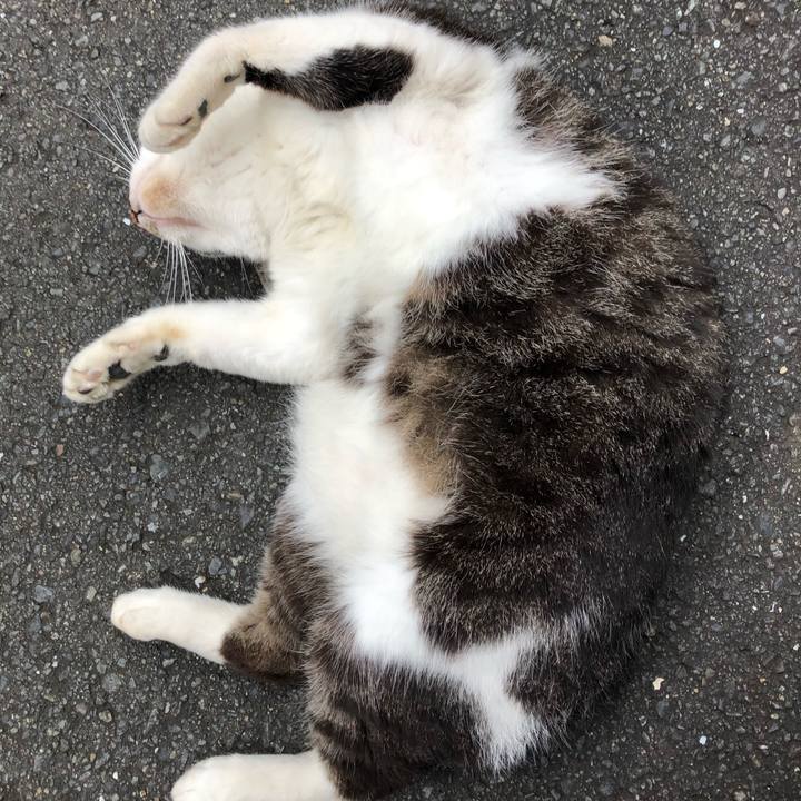 Bd2ab42b 33bf 4e27 b6c2 971c5a7bfa94 1595065951236