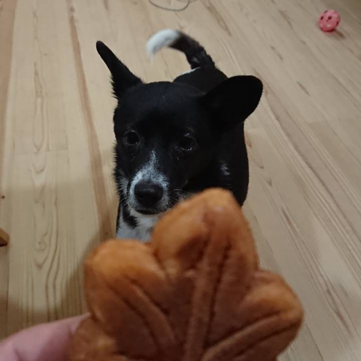 Bd2ac235 2858 4860 903b 769521540925 1572005210057