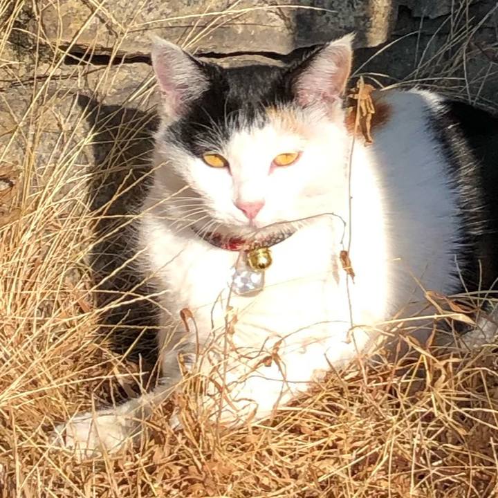 Bd2ada4e 5592 4d7e b849 4a9da801d1c0 1605330261849