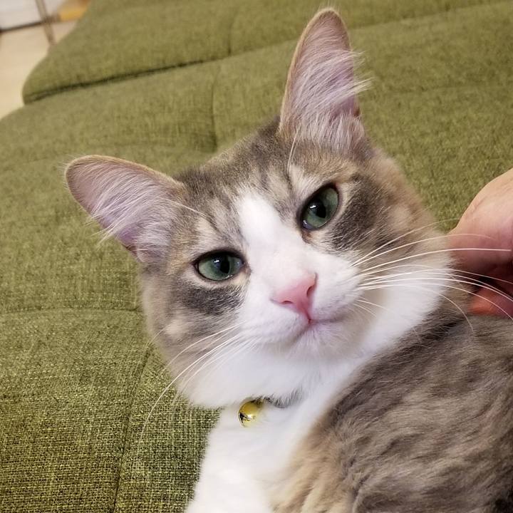 Bd2b1d97 e361 46fc a475 5283576f58cb 1517925037725