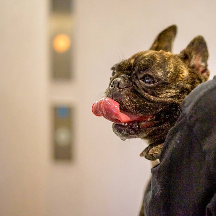 Bd2b339e de43 4e03 8722 5aa0d6a7ee92 1568967834523