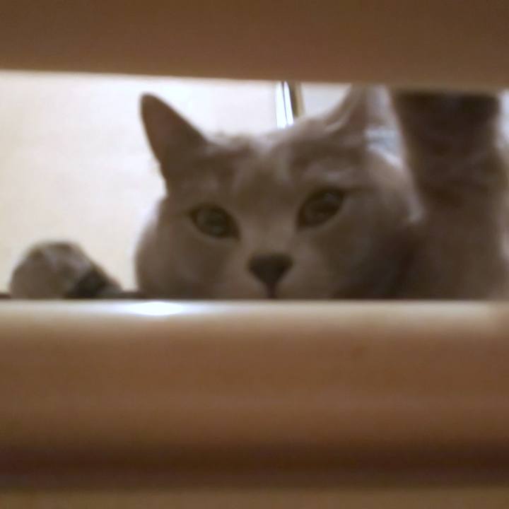 Bd2b3ab3 947f 4ddd b1c5 87751ba97767 1588427097865