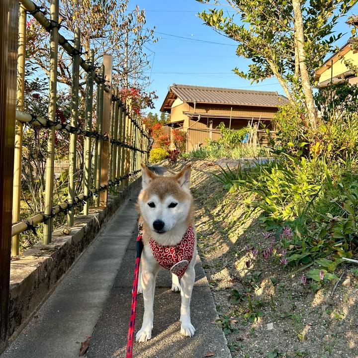 Bd2b7471 a46c 4cf8 a66d d81642df7040 1699009058294