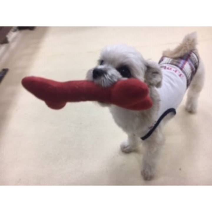 Bd2b7736 dfb8 4441 94d2 9e94f2a4f7ef 1539859988287