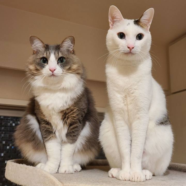 Bd2bf769 e24b 4fdf b8e6 a992a40d5303 1689945373921