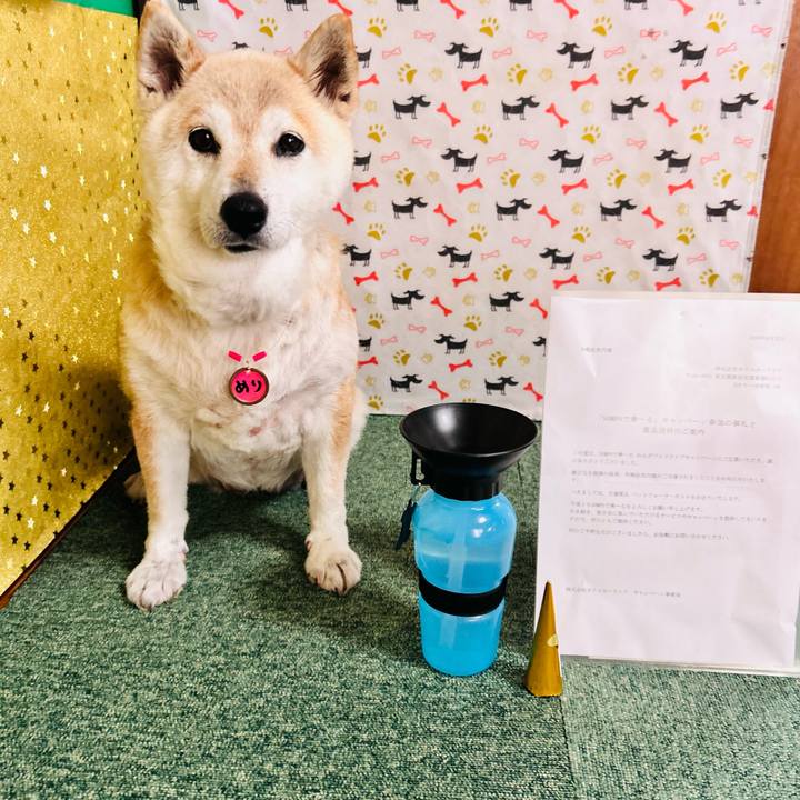 Bd2c48b0 2dc3 4ebd 8f82 866e46a6bf59 1749283761850