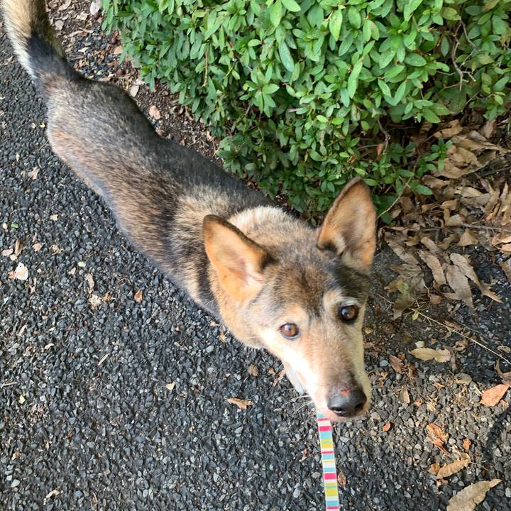 Bd2c81cb 0c49 43df 958e 1d66e2c7d492 1573090145696