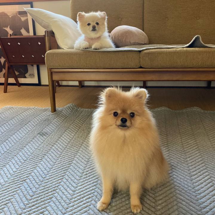 Bd2c9600 4e35 46cc b60e 36f1552c2631 1696289078273