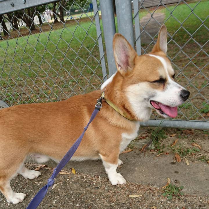 Bd2cb86c d035 476f 9ff0 b600b1d1b5f2 1602354841773