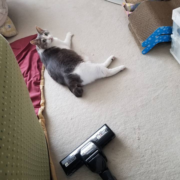 Bd2d0708 3dad 4d79 ac1d 66492172cdee 1642432400922