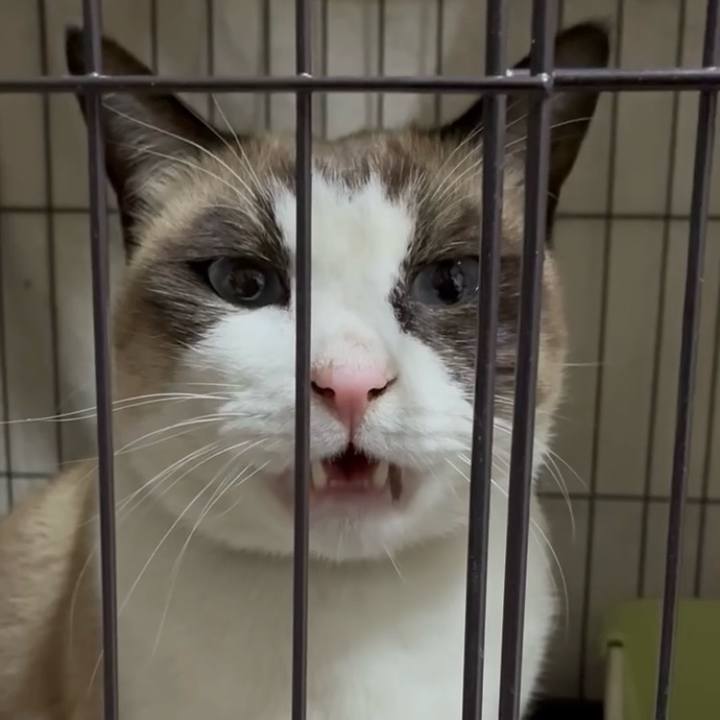 Bd2d8837 d9f6 490f b6b3 3511a620d926 1765278650692