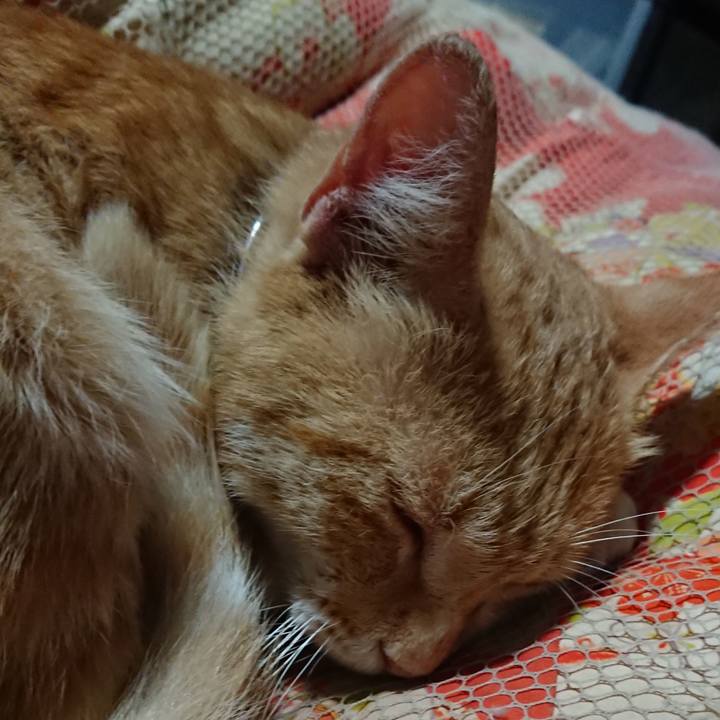 Bd2d8dfc 788f 4508 ab1d f904d065477f 1560431758157