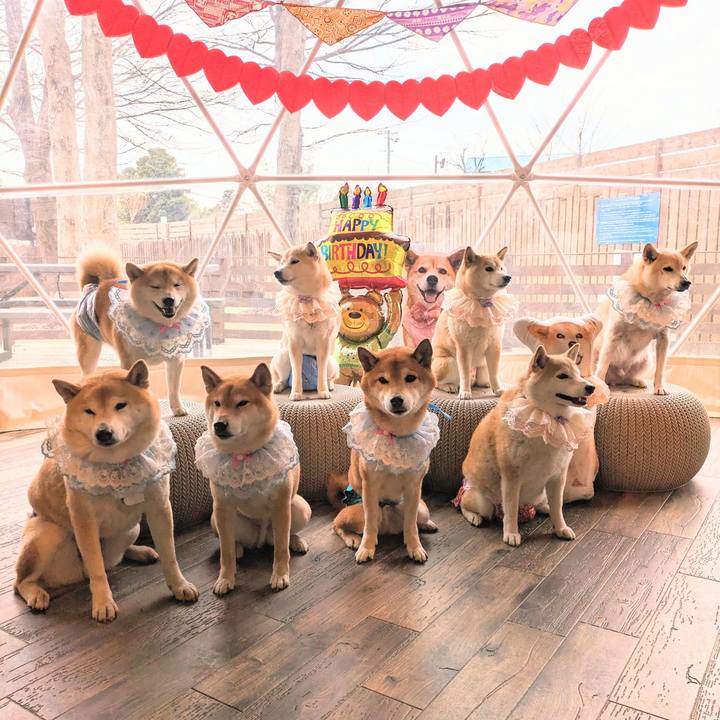 Bd2d8fe9 26eb 494d a064 d3de322f798e 1706668605619