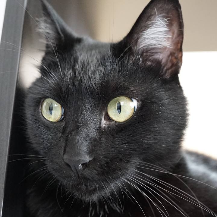 Bd2d9934 0a02 4f7a 9e4d 492c12b14d80 1559352102659