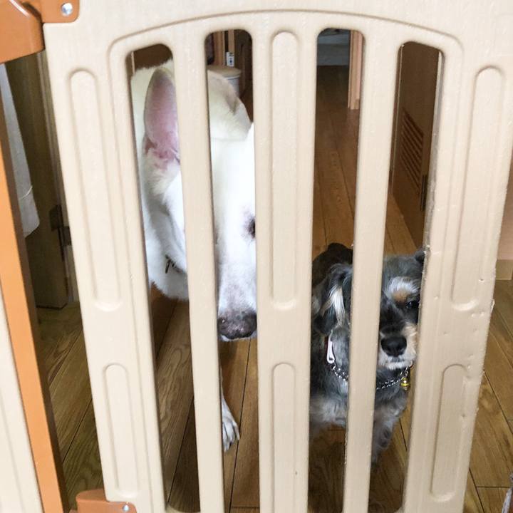 Bd2dfe0c 7c9a 4ca7 9db2 90d1fdc60526 1576369263596