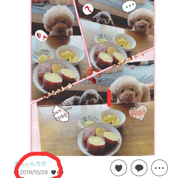 Bd2e2e72 e660 42dd a645 610a31576052 1698627797638