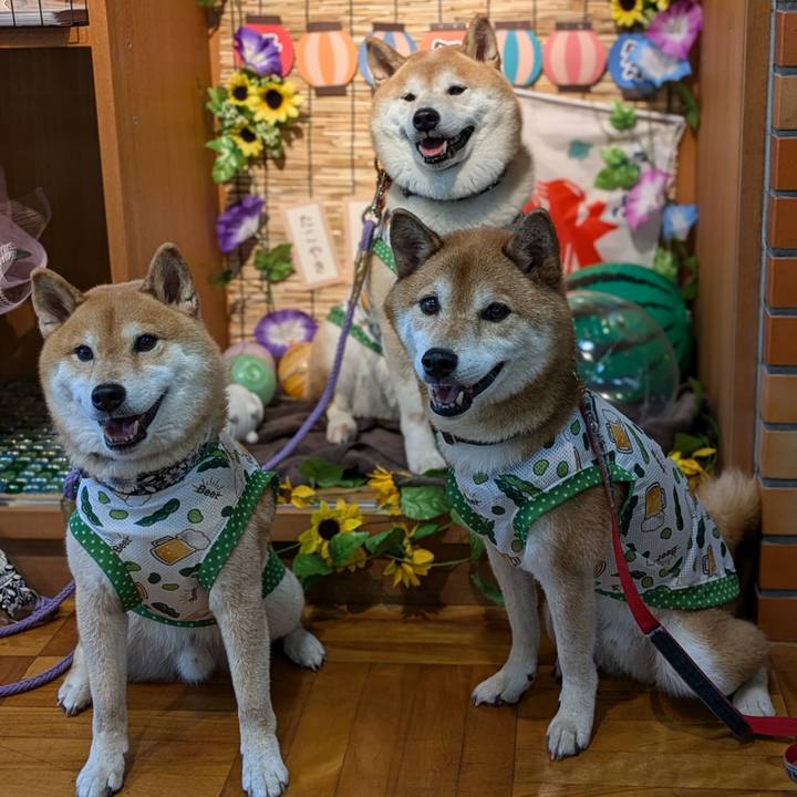 Bd2e431c 82bd 4a28 8ad3 459ff74d872a 1722850857637