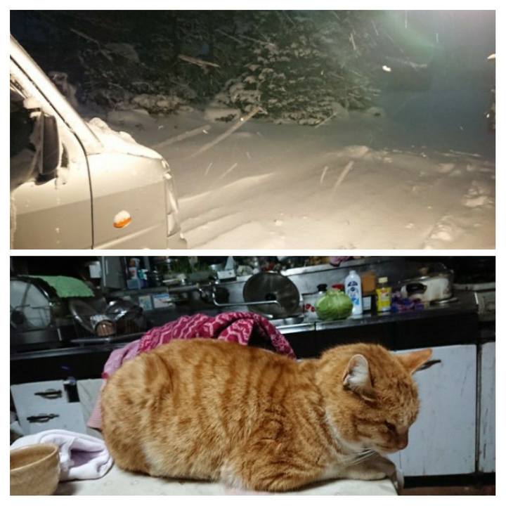 Bd2e5f06 ae0b 4318 b716 cd19e7f38ed9 1580936483004