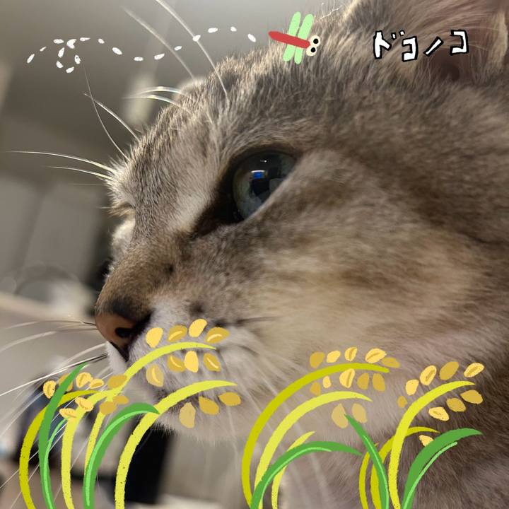 Bd2e923f 082e 4daf 9ca6 1824f96d1746 1761370173349