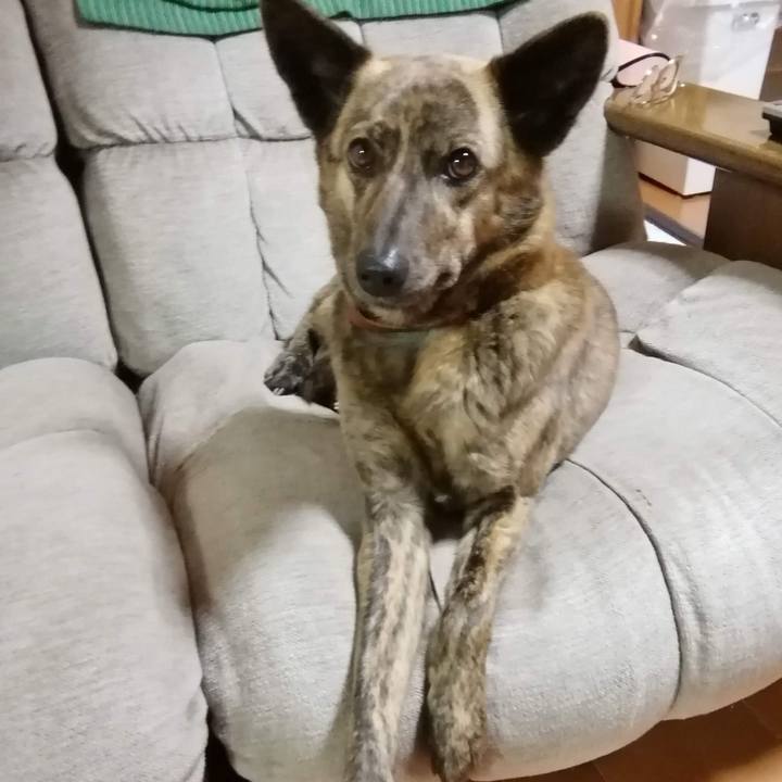 Bd2ebf07 324f 4a0c bc24 301fad30dee4 1527256375251