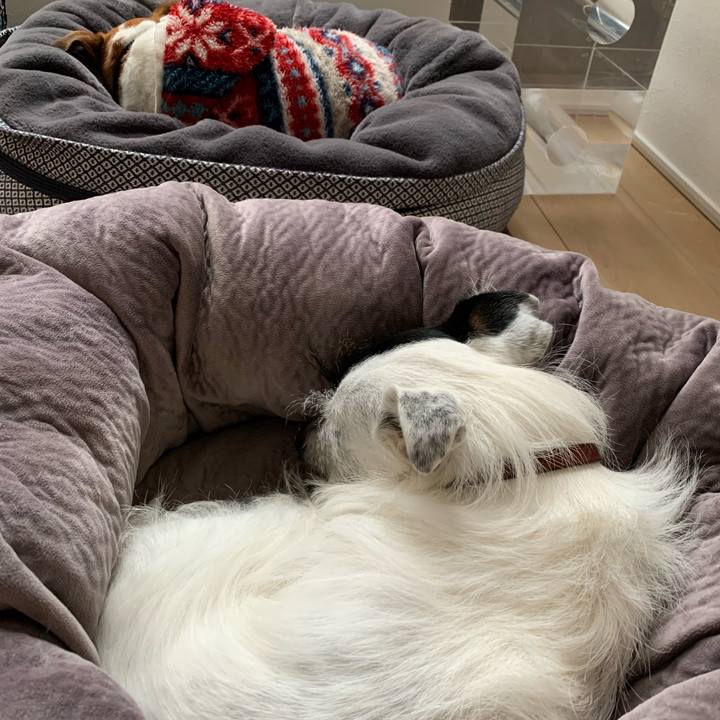 Bd2f05fc 2f2a 4d38 8fb7 9e1f1f514528 1611473542661