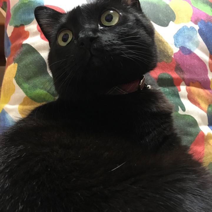 Bd2f09af 9def 417f 8cb9 2e1eee0fd053 1507989426275