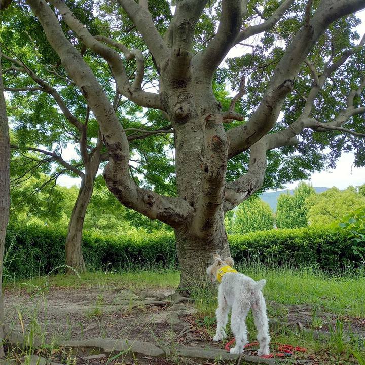 Bd2f2854 384c 4b5d a6fa 45b7ec963182 1623196529687