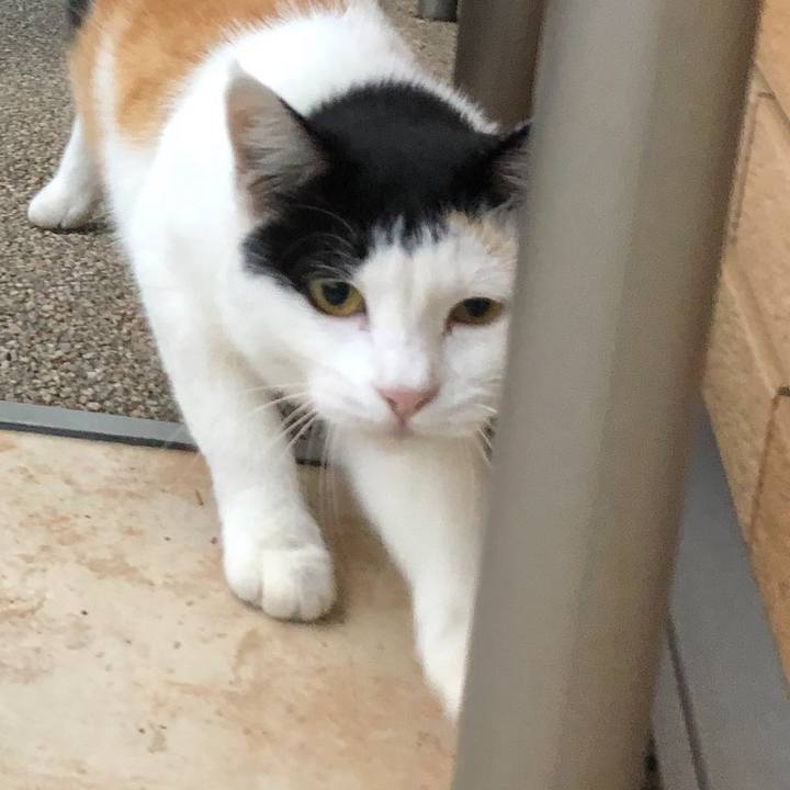 Bd2f3b52 9aa5 4cdd a167 93f1c96b6de7 1600471318669