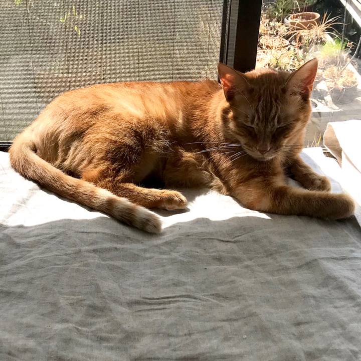 Bd2f5209 f6ad 476a a0c2 15e6fc8fb26e 1552456948843