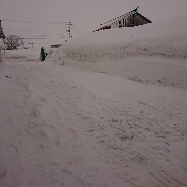 Bd2f64cf a06b 425b 90dc 59f3b885e8eb 1645480621158