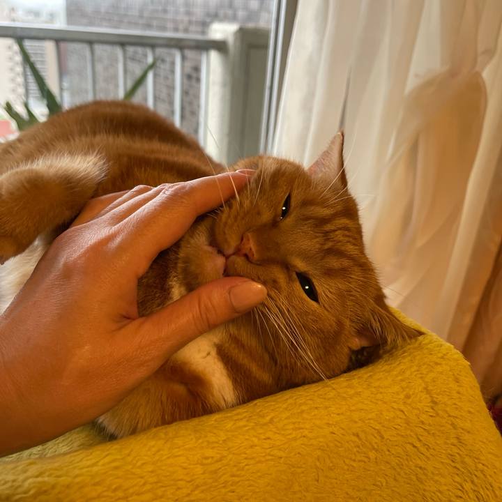 Bd2f6a41 22aa 41ed 850e 968609c25c44 1665293910999