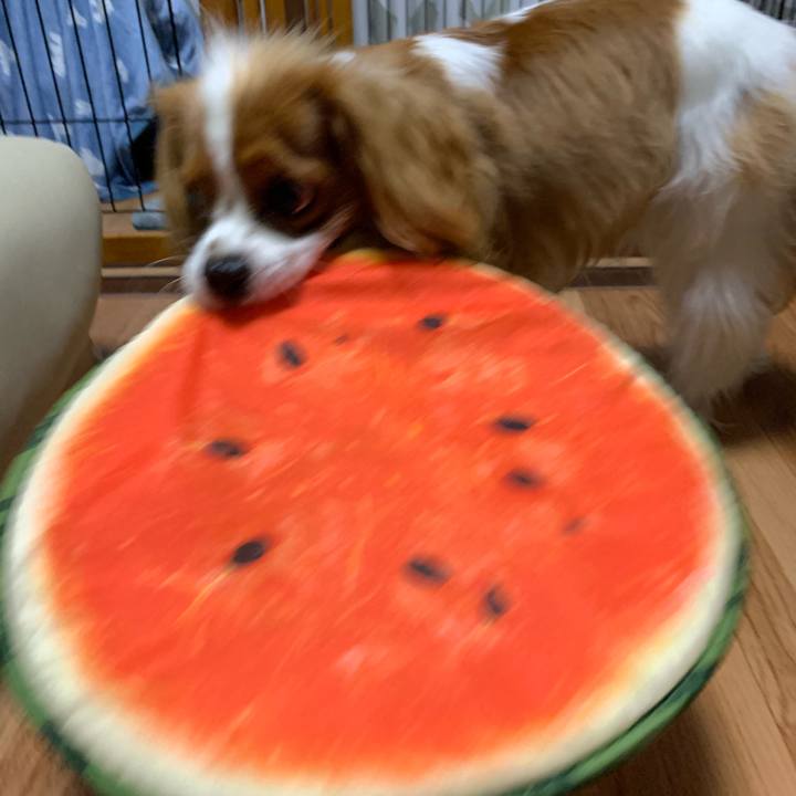Bd2f9b8e 1be7 4677 882f 0388b7c3dd3b 1565615516901