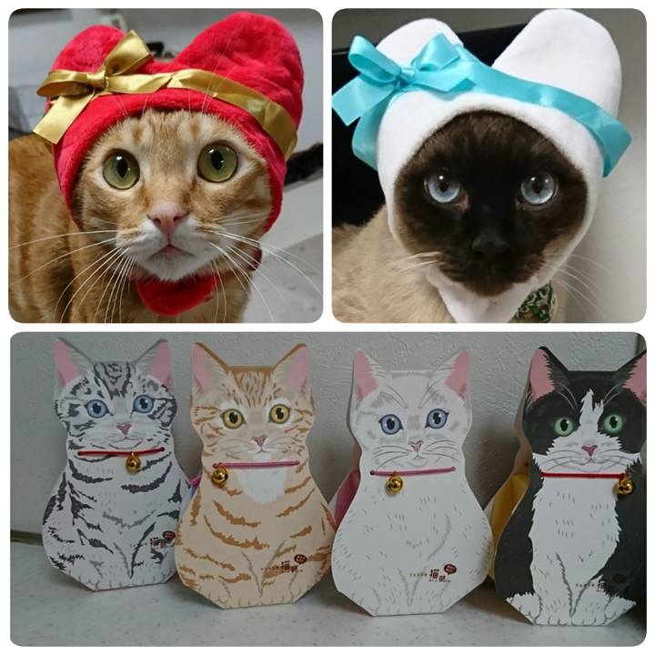 Bd2fb522 ec9b 4d1b b4ac 486e867648b2 1517988975064