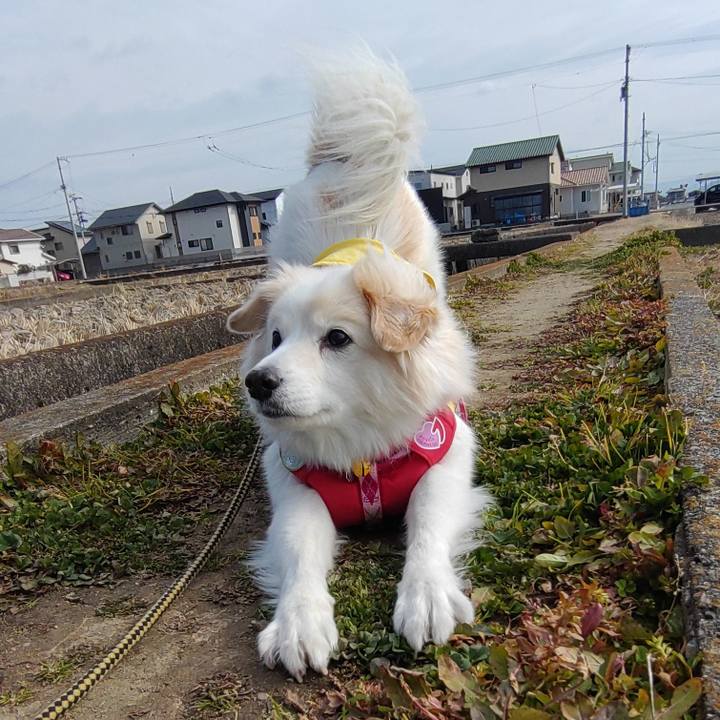 Bd2fb5fa 94f3 4931 8e3a 68bb0f391f84 1643432866312