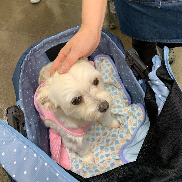 Bd2fc474 65e9 4009 b868 a36f7d7cb129 1593689480287