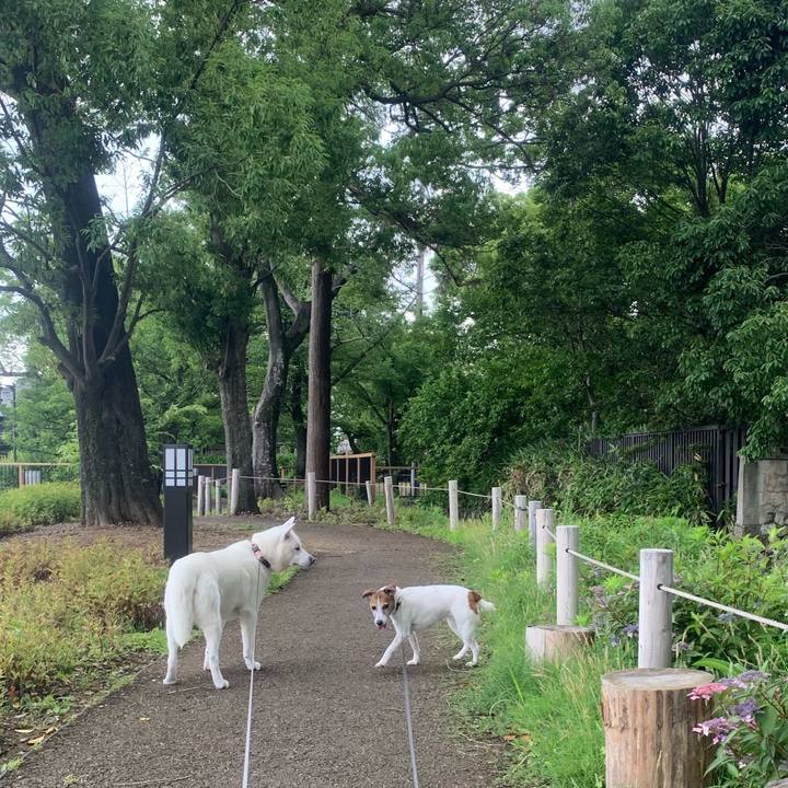 Bd2fda76 7d00 49b5 898c 9d454a294e33 1560646926697