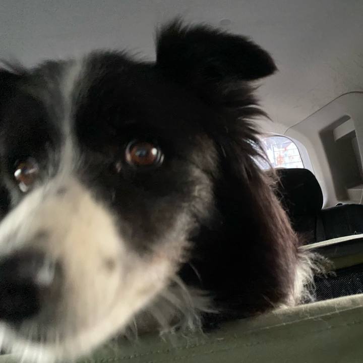 Bd2fec2d e37e 4ba8 ae15 8fa54ae42155 1668376975778