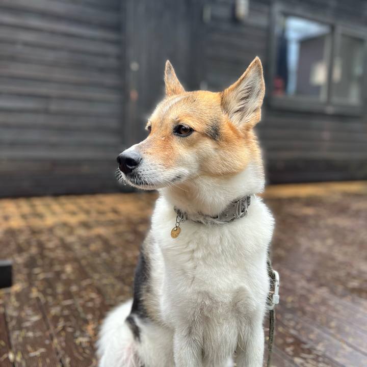 Bd2ff1ed 0cec 4a80 aa5e d09c16fe811d 1759292131476