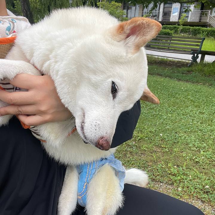 Bd30245b 9c3f 4f66 a2b7 6b4ec7cdf773 1656852000332