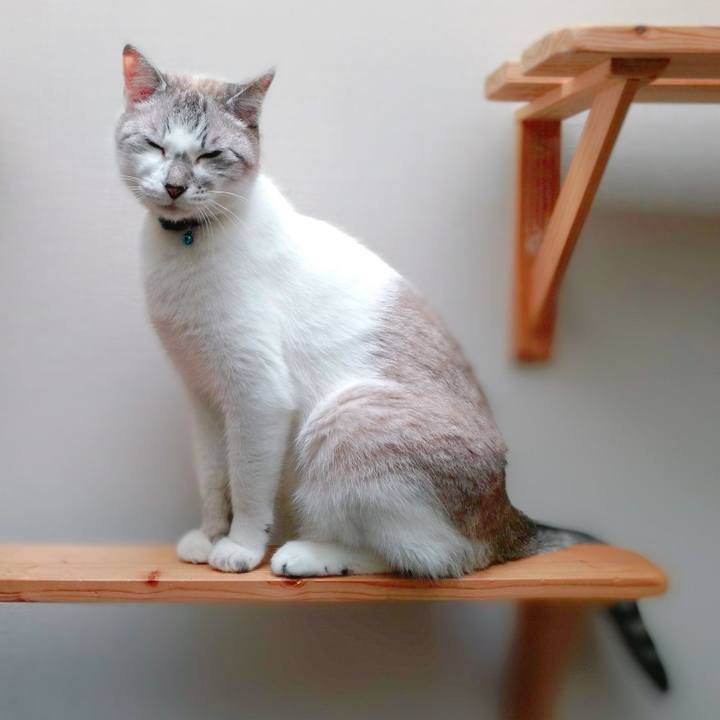 Bd30365e cf34 4e32 a60f 9fd13d46975d 1562459326018