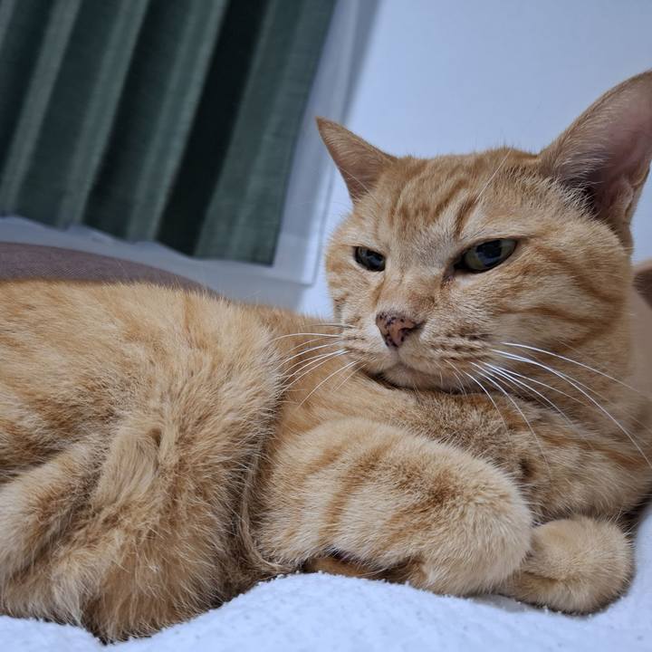 Bd303a7e f06e 4b50 b83c 925f2fc13914 1755739477519