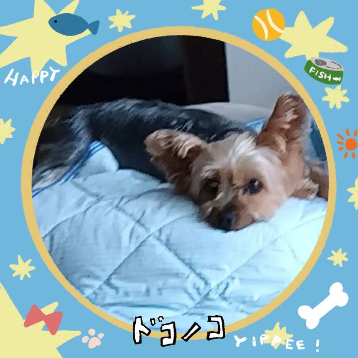 Bd3056ad 0a32 4cfa 8331 9fe7fa73355d 1720781323822