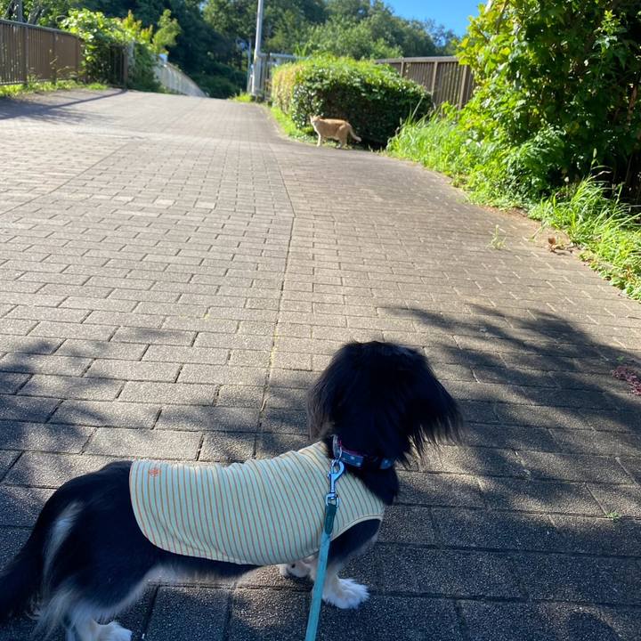 Bd306051 a703 4fd8 8497 24c19376e4a4 1752990235248