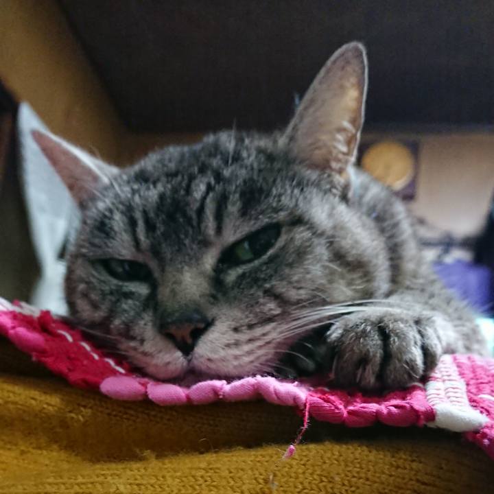 Bd306134 b05e 47ba 8a86 10e29bb26a26 1551690552876