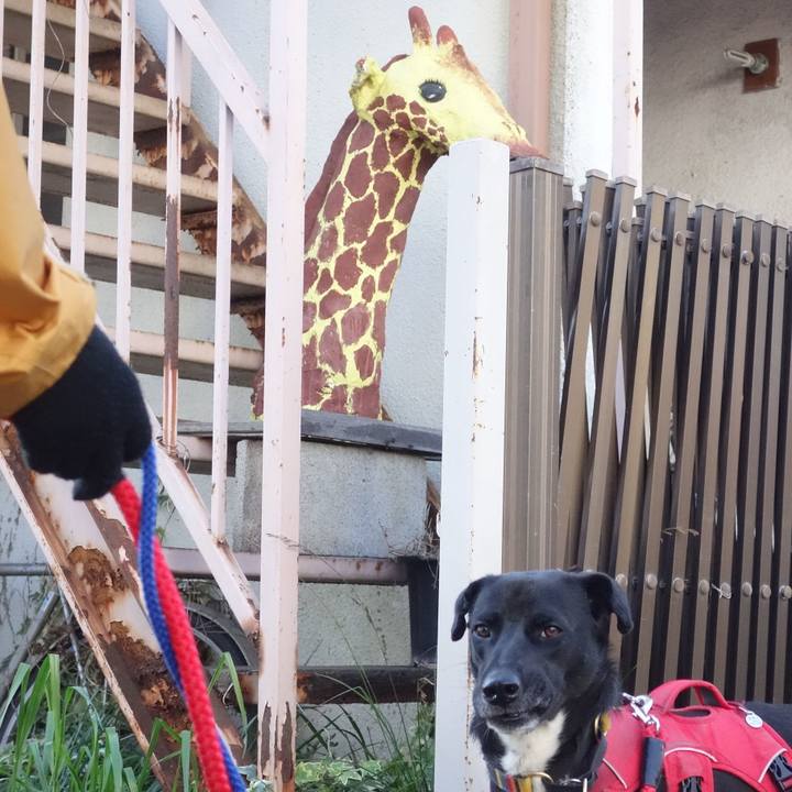 Bd307223 9e08 42b8 bf39 25071ec7775b 1586567823060