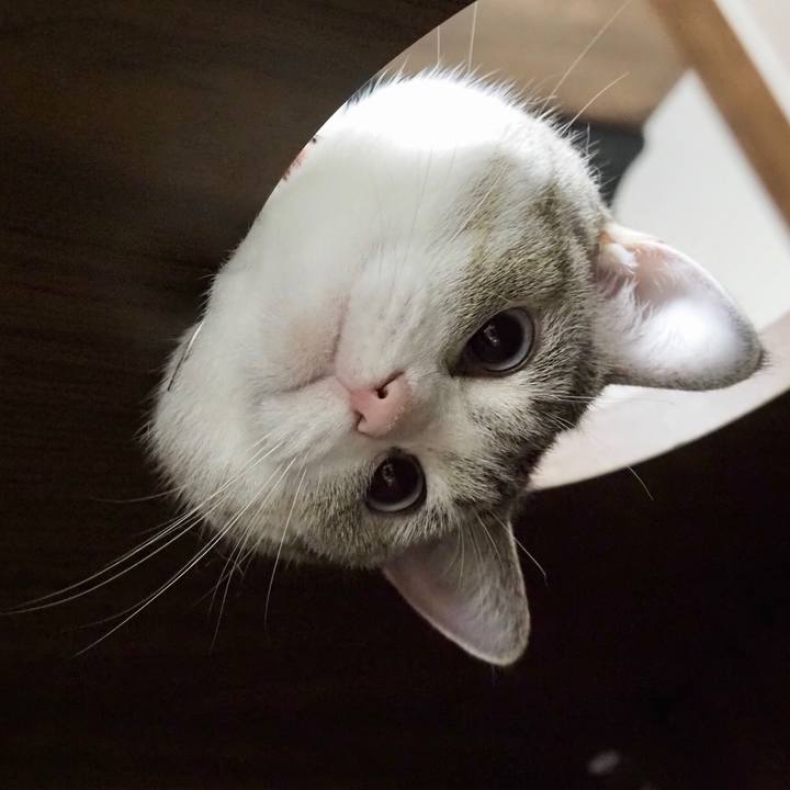 Bd3078bb c941 45b1 a980 3fbc3a5587ee 1596539218040